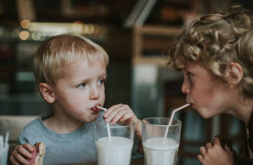 susu soya mencegah penyakit kronis